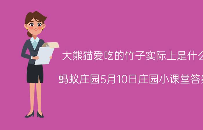 大熊猫爱吃的竹子实际上是什么 蚂蚁庄园5月10日庄园小课堂答案